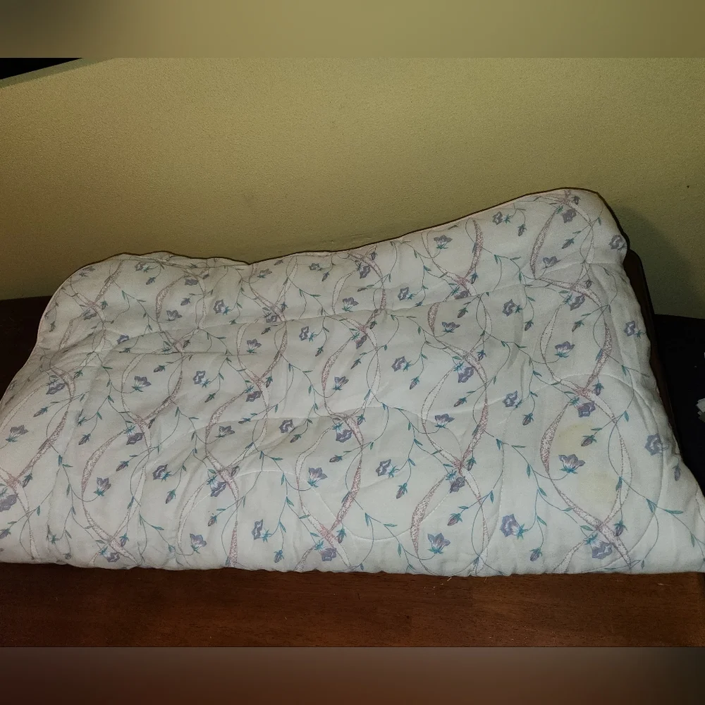 Vintage 3 Piece Floral Print Comforter & Pillowcases by Dan River